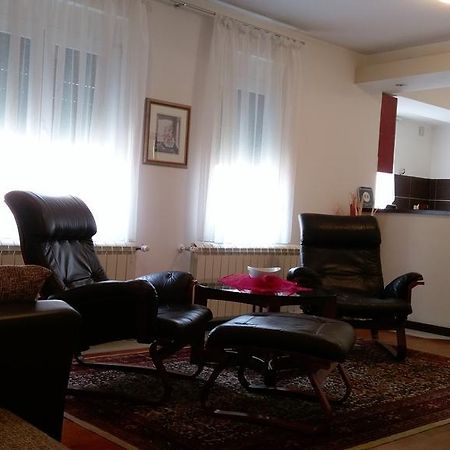 Apartment Krsmanovic Arandelovac Zewnętrze zdjęcie