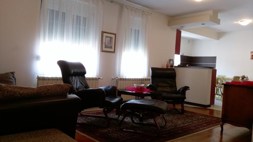 Apartment Krsmanovic Arandelovac Zewnętrze zdjęcie